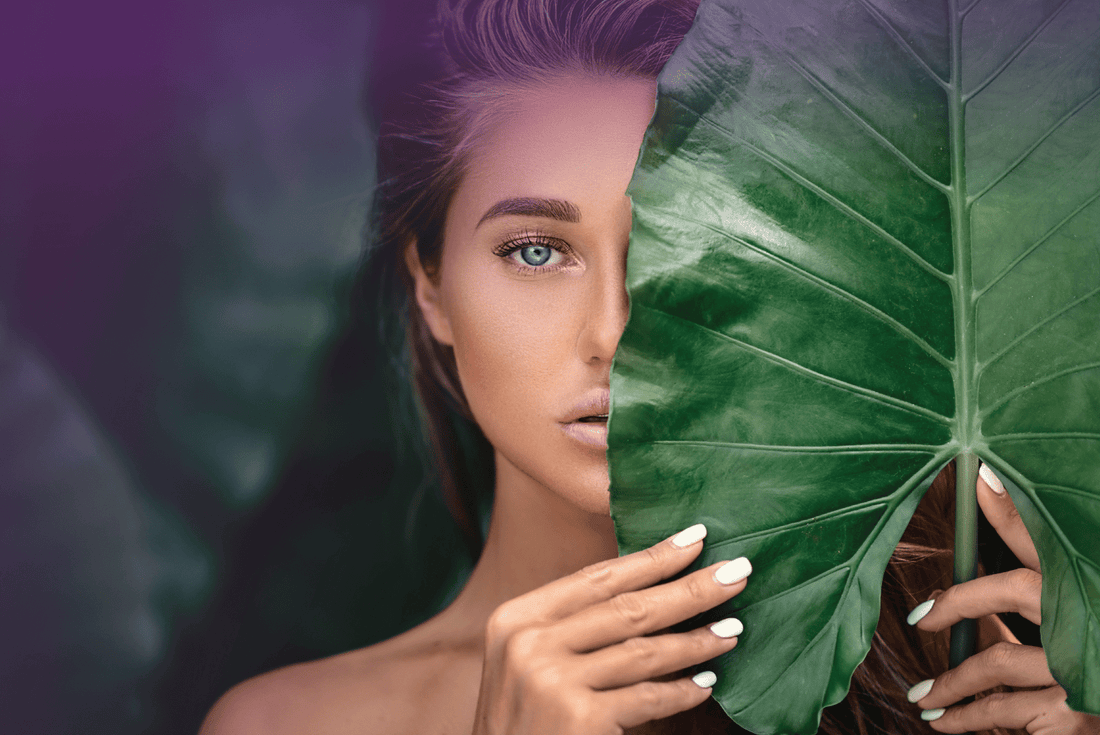 Spilling the Tea on our Hero Ingredients - Sweet LeiLani