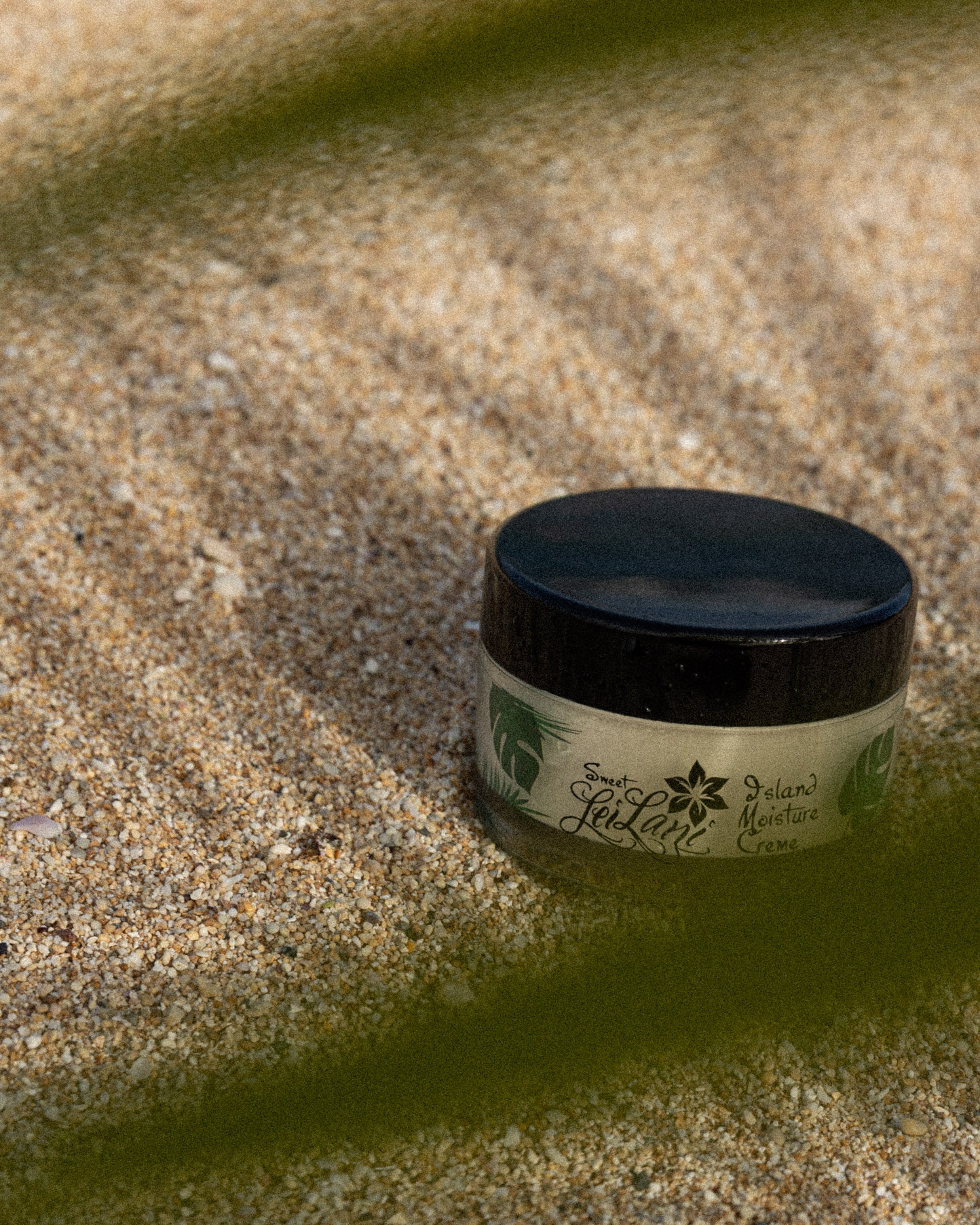 Island Moisture | Face and Hair Conditioner