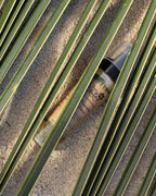 Hawaiian Cleanser | Makeup Remover and More