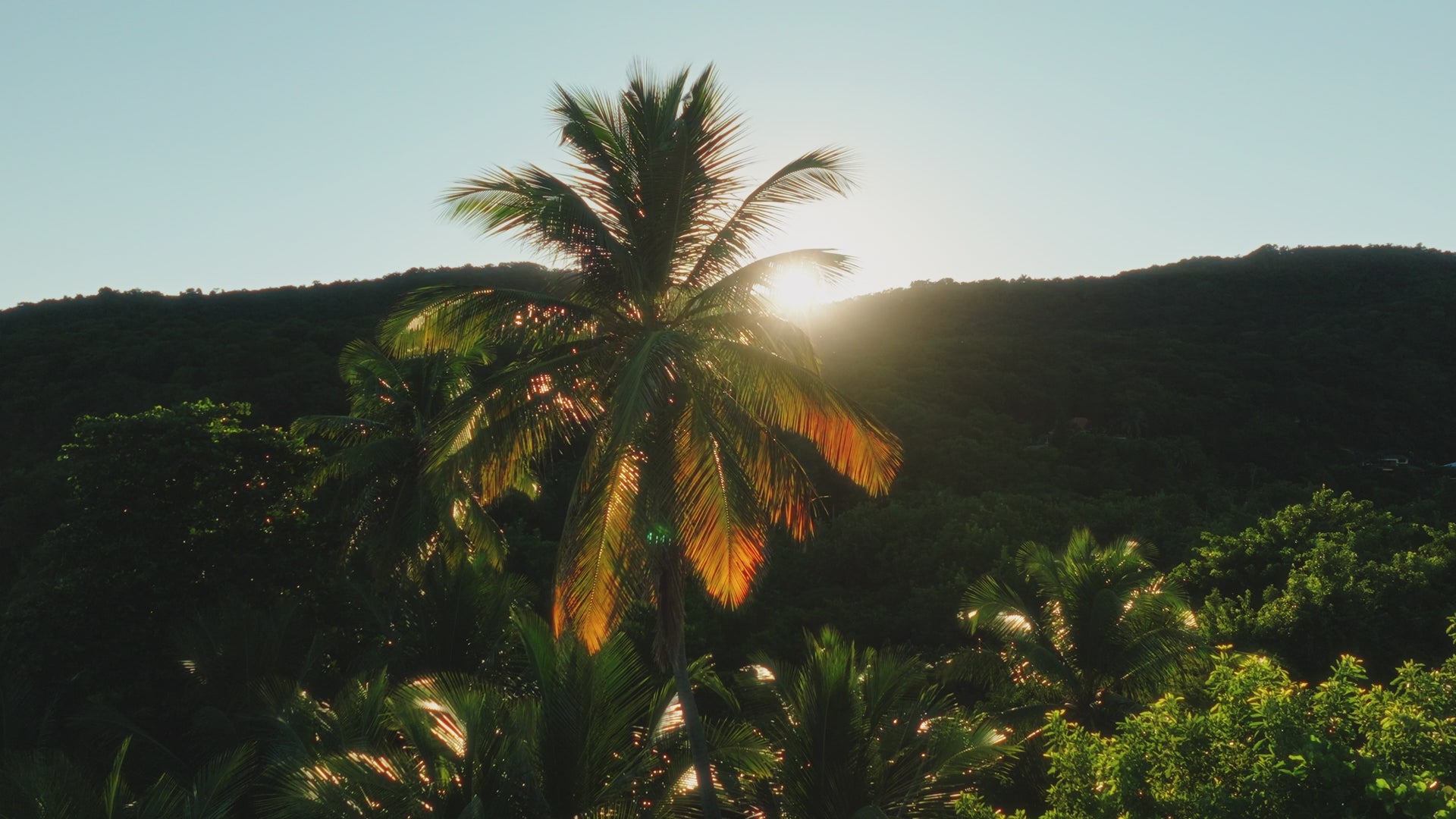 Build Your Bundle And Save 10%