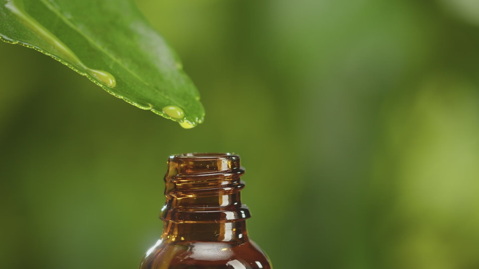 Plant Therapy Am | Hydra Boost+ Defense Skin Serum