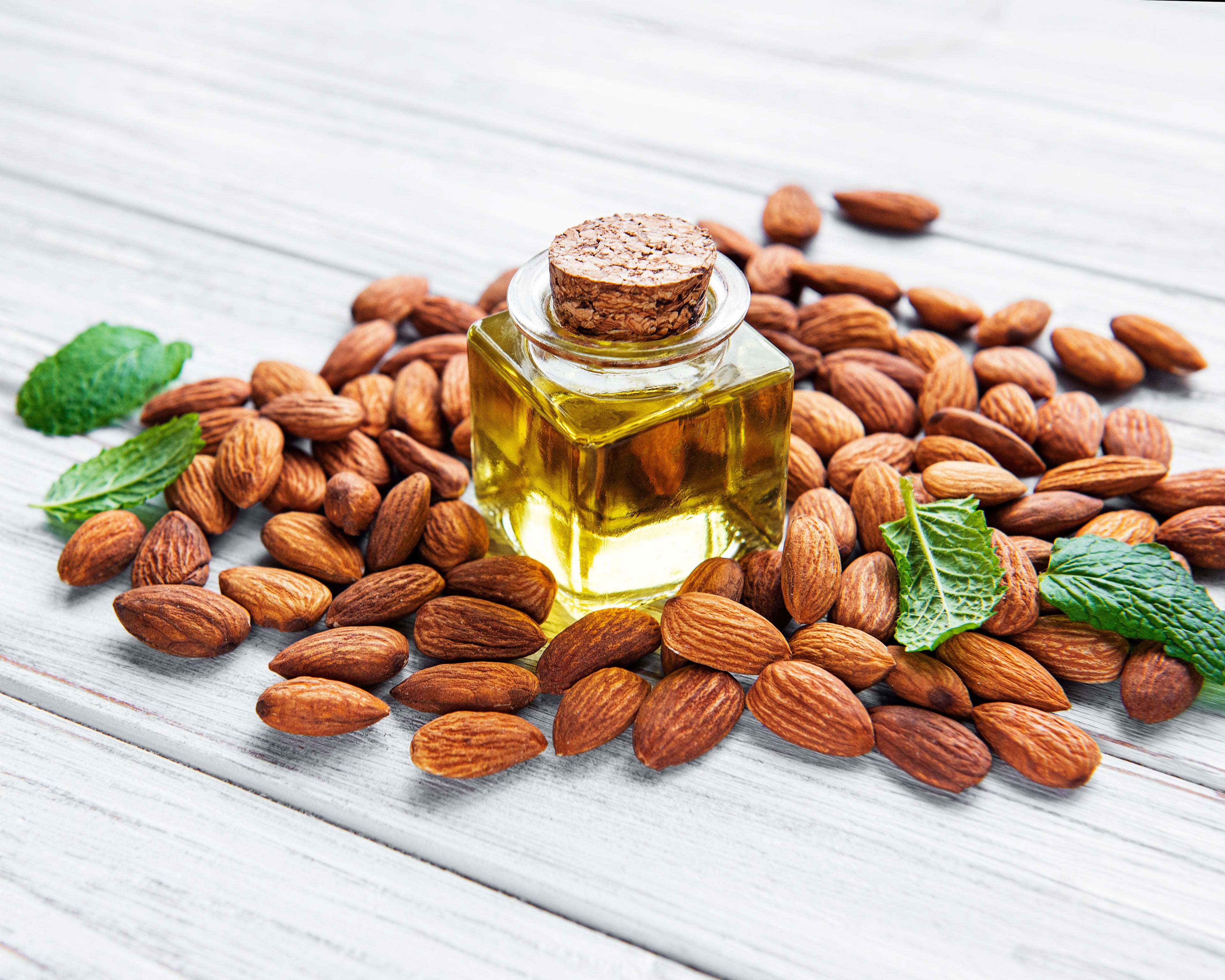 Plant Therapy Am | Hydra Boost+ Defense Skin Serum